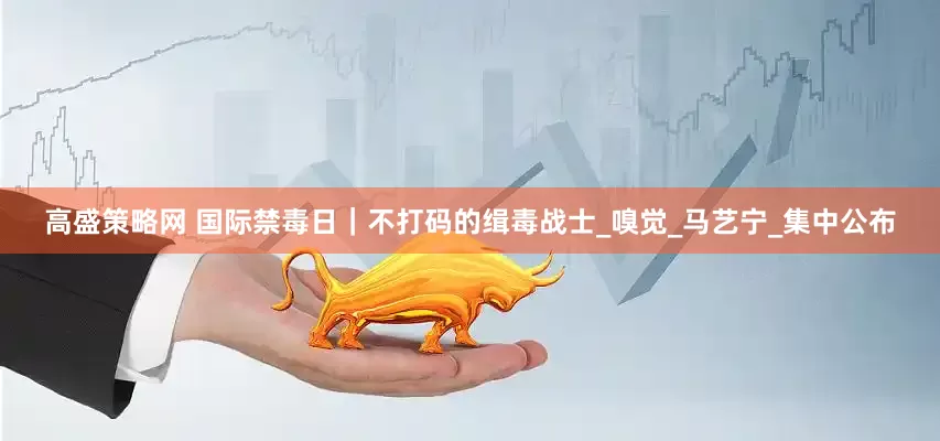 高盛策略网 国际禁毒日｜不打码的缉毒战士_嗅觉_马艺宁_集中公布