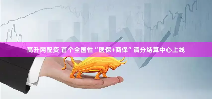 高升网配资 首个全国性“医保+商保”清分结算中心上线
