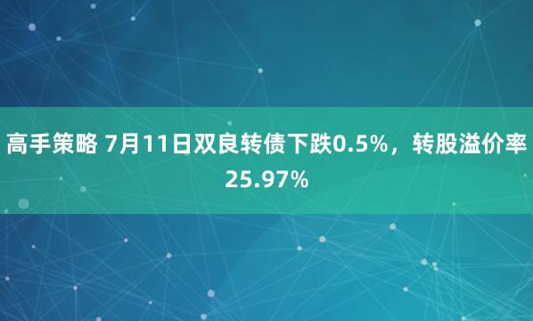 高手策略 7月11日双良转债下跌0.5%，转股溢价率25.97%