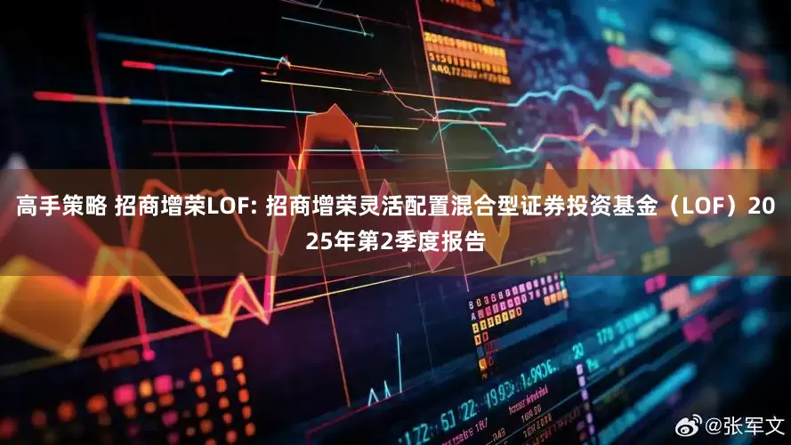 高手策略 招商增荣LOF: 招商增荣灵活配置混合型证券投资基金（LOF）2025年第2季度报告